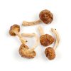 Buy A+ Magic Mushrooms Canada