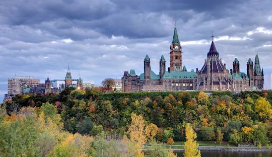 Psychedelics In Ottawa