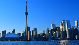 Psychedelics In Toronto