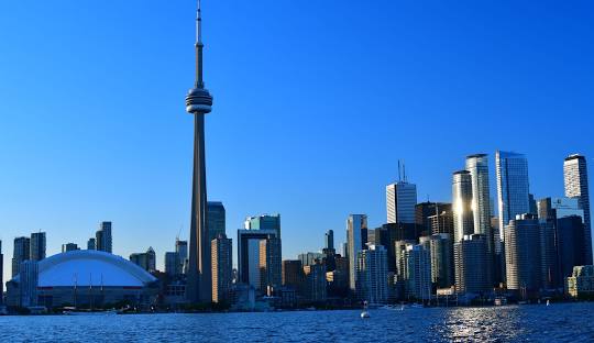 Psychedelics In Toronto