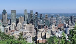 Psychedelics in Montreal