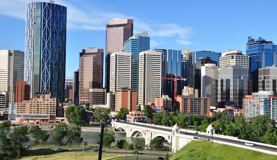 Psychedelics Calgary