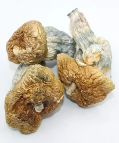 Melmac PE Magic Mushrooms